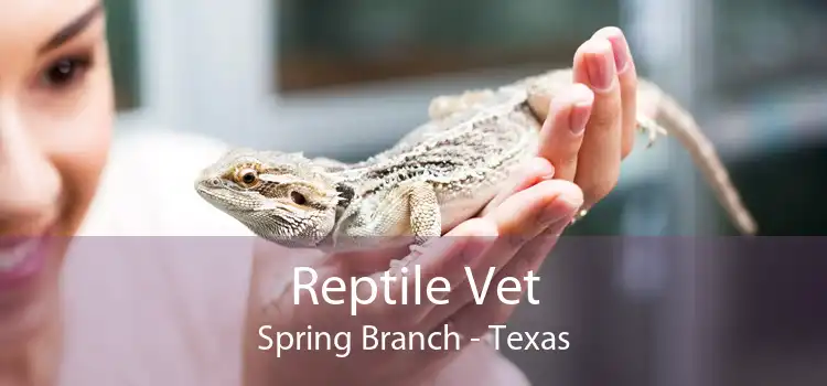 Reptile Vet Spring Branch - Texas