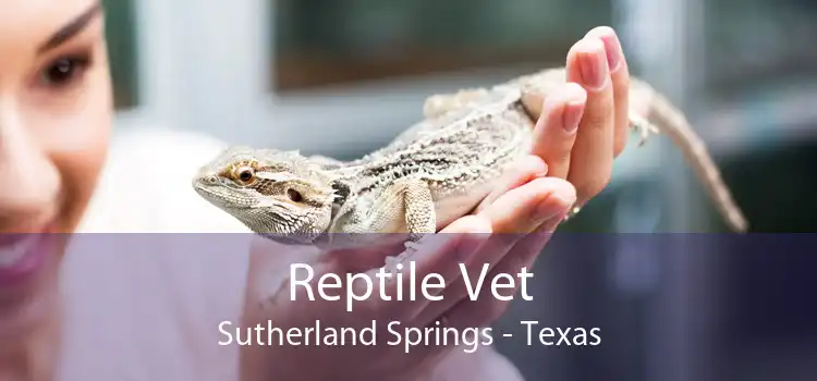 Reptile Vet Sutherland Springs - Texas