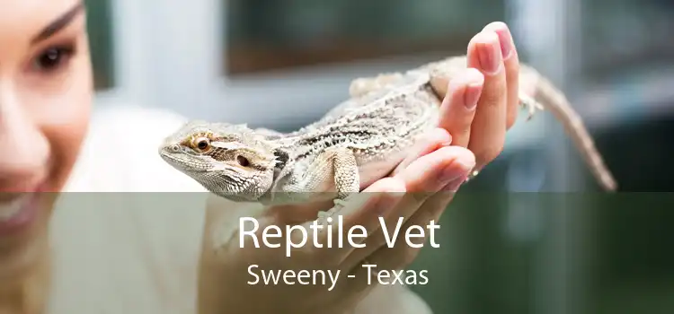 Reptile Vet Sweeny - Texas