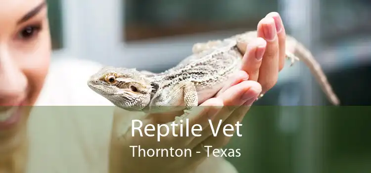 Reptile Vet Thornton - Texas