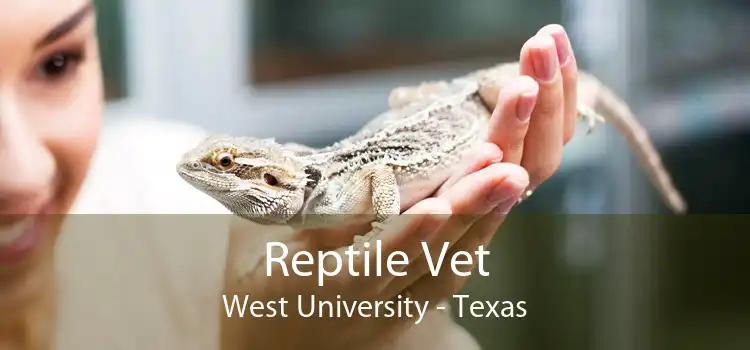 Reptile Vet West University - Texas