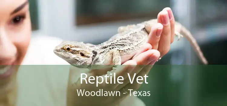 Reptile Vet Woodlawn - Texas