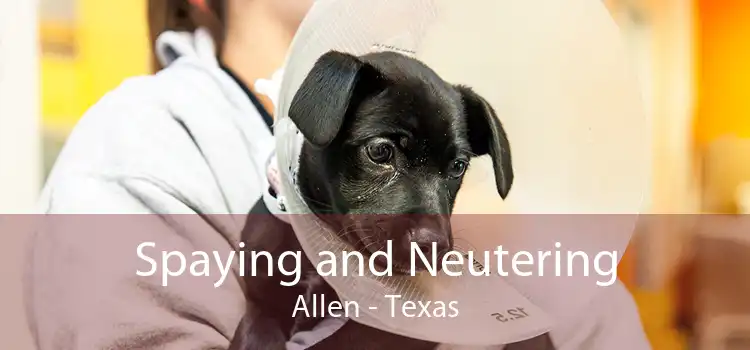 Spaying and Neutering Allen - Texas