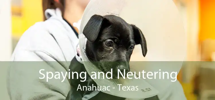 Spaying and Neutering Anahuac - Texas