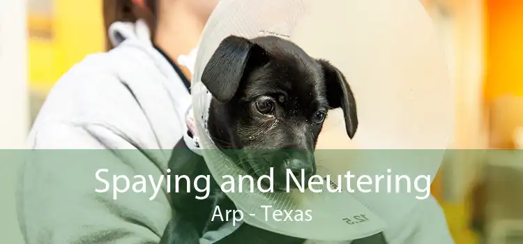 Spaying and Neutering Arp - Texas