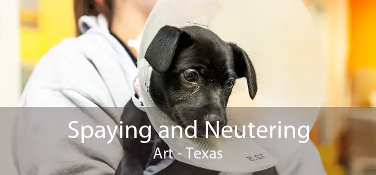 Spaying and Neutering Art - Texas