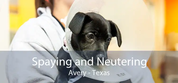 Spaying and Neutering Avery - Texas