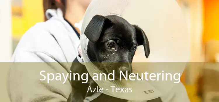 Spaying and Neutering Azle - Texas