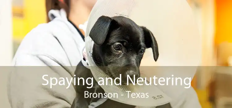 Spaying and Neutering Bronson - Texas