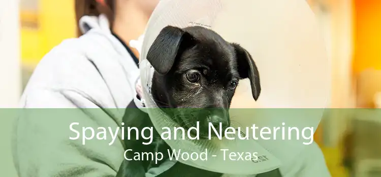 Spaying and Neutering Camp Wood - Texas