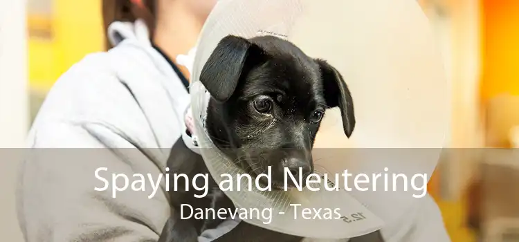 Spaying and Neutering Danevang - Texas