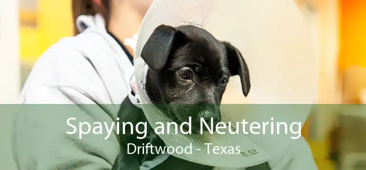 Spaying and Neutering Driftwood - Texas