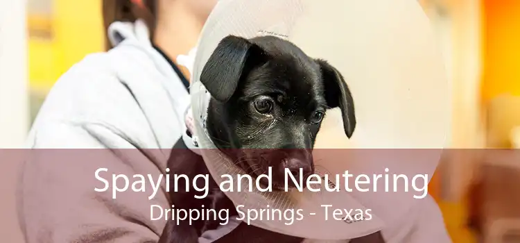 Spaying and Neutering Dripping Springs - Texas