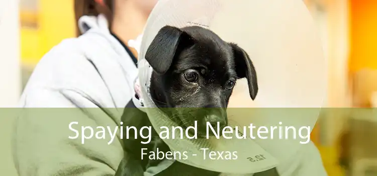 Spaying and Neutering Fabens - Texas