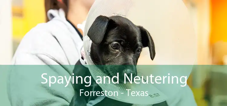 Spaying and Neutering Forreston - Texas