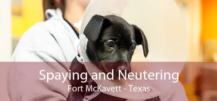 Spaying and Neutering Fort McKavett - Texas