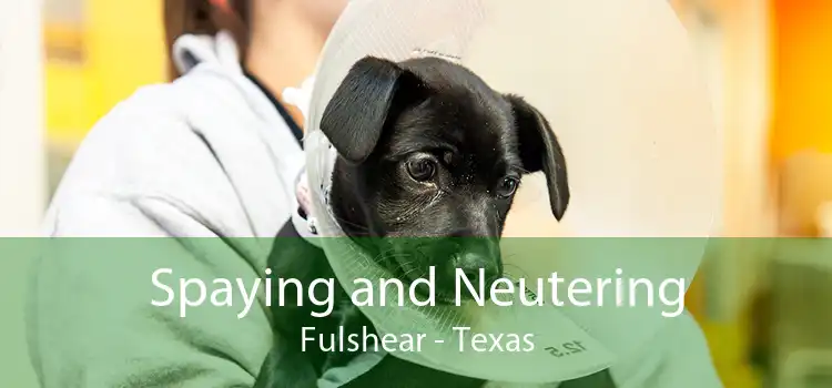 Spaying and Neutering Fulshear - Texas