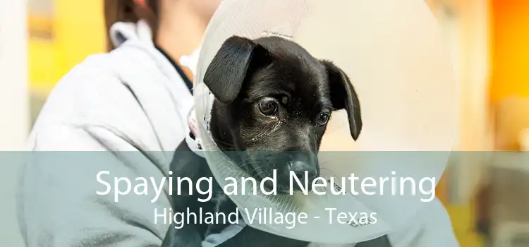 Spaying and Neutering Highland Village - Texas