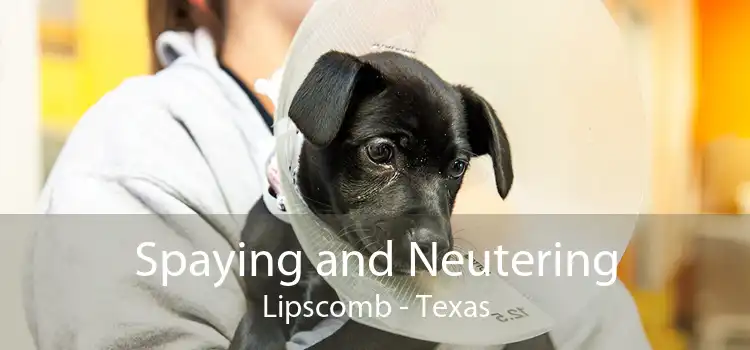 Spaying and Neutering Lipscomb - Texas