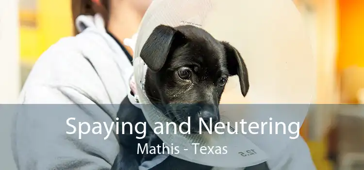 Spaying and Neutering Mathis - Texas