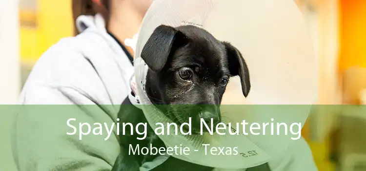 Spaying and Neutering Mobeetie - Texas