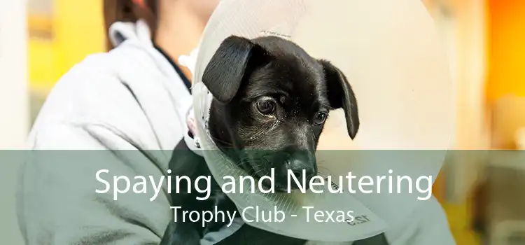 Spaying and Neutering Trophy Club - Texas