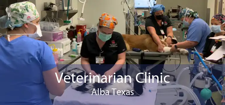 Veterinarian Clinic Alba Texas