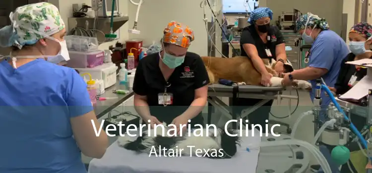 Veterinarian Clinic Altair Texas