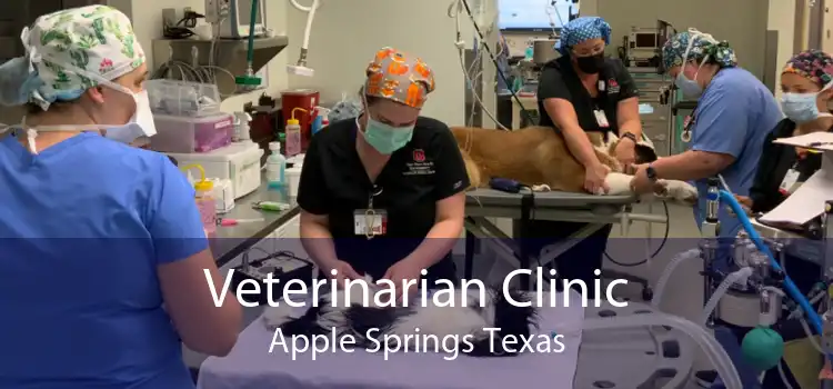 Veterinarian Clinic Apple Springs Texas