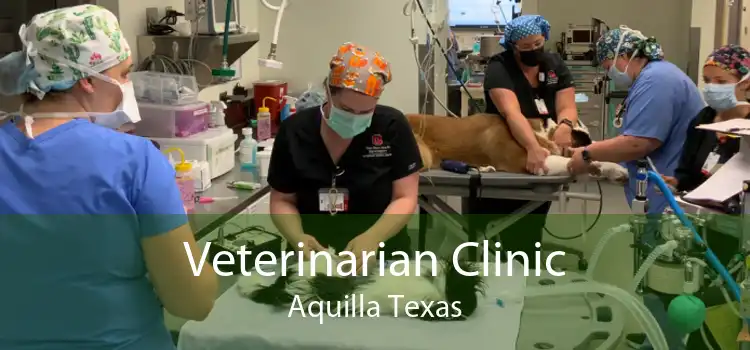 Veterinarian Clinic Aquilla Texas