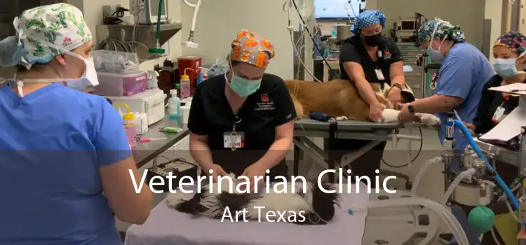 Veterinarian Clinic Art Texas