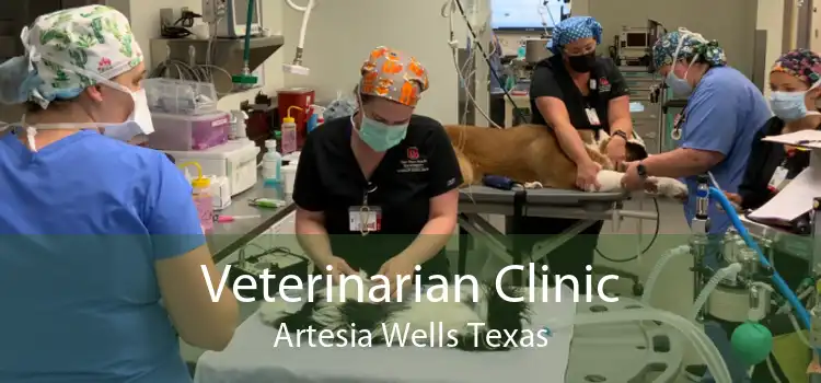 Veterinarian Clinic Artesia Wells Texas