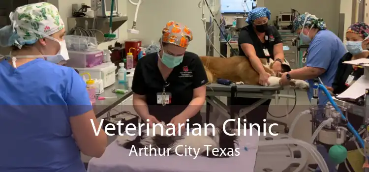 Veterinarian Clinic Arthur City Texas