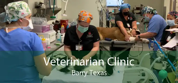 Veterinarian Clinic Barry Texas