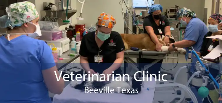 Veterinarian Clinic Beeville Texas