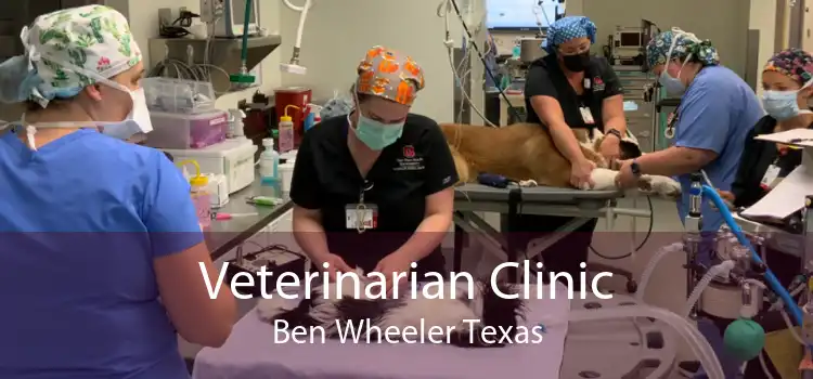 Veterinarian Clinic Ben Wheeler Texas