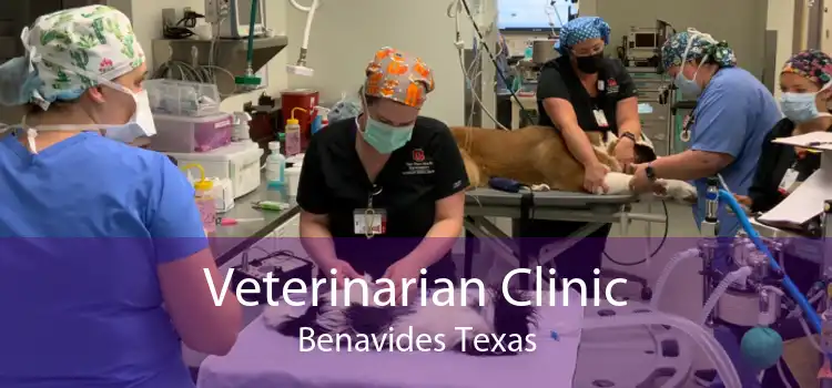 Veterinarian Clinic Benavides Texas