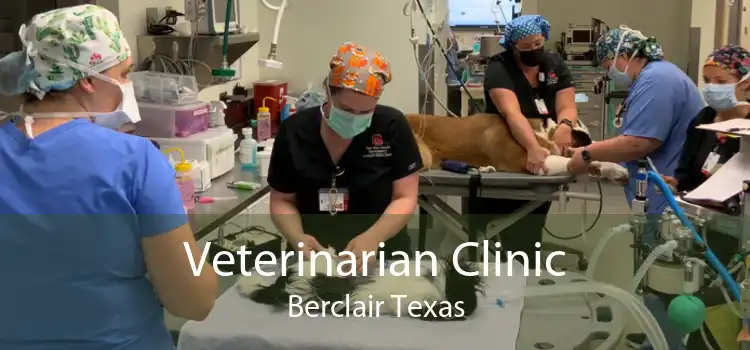 Veterinarian Clinic Berclair Texas