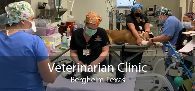 Veterinarian Clinic Bergheim Texas