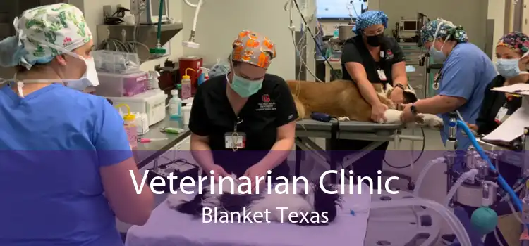 Veterinarian Clinic Blanket Texas