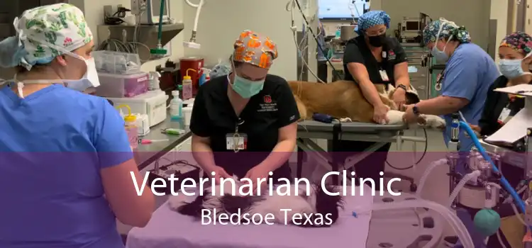 Veterinarian Clinic Bledsoe Texas