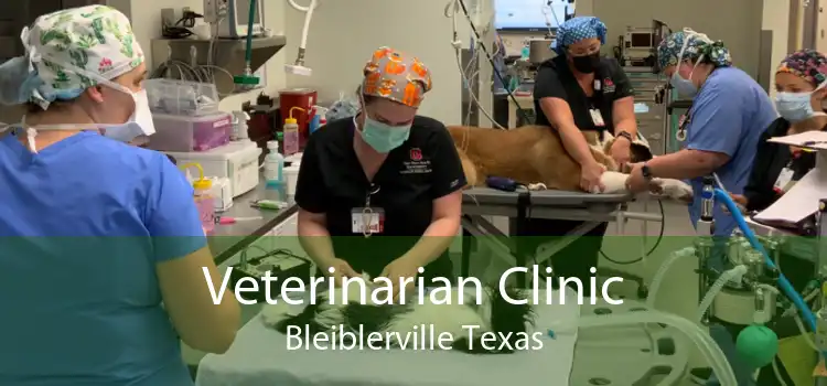 Veterinarian Clinic Bleiblerville Texas