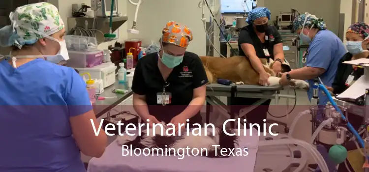 Veterinarian Clinic Bloomington Texas