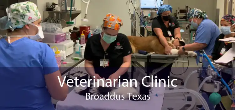 Veterinarian Clinic Broaddus Texas