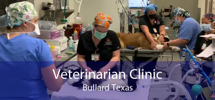 Veterinarian Clinic Bullard Texas