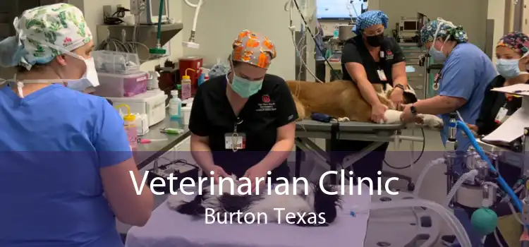 Veterinarian Clinic Burton Texas