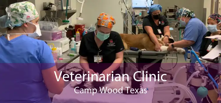 Veterinarian Clinic Camp Wood Texas