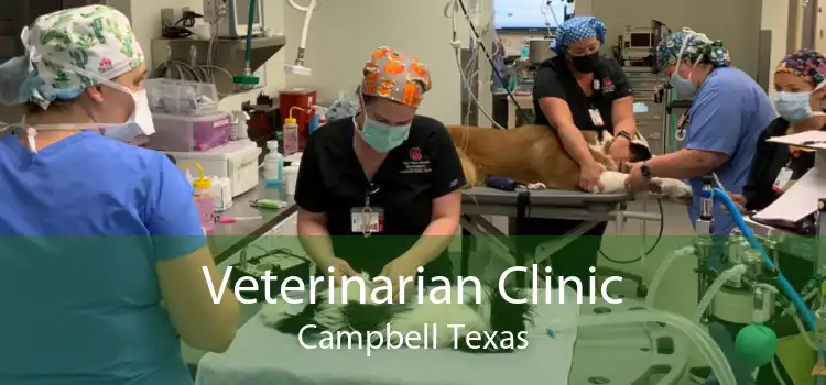 Veterinarian Clinic Campbell Texas