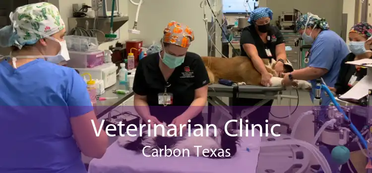 Veterinarian Clinic Carbon Texas