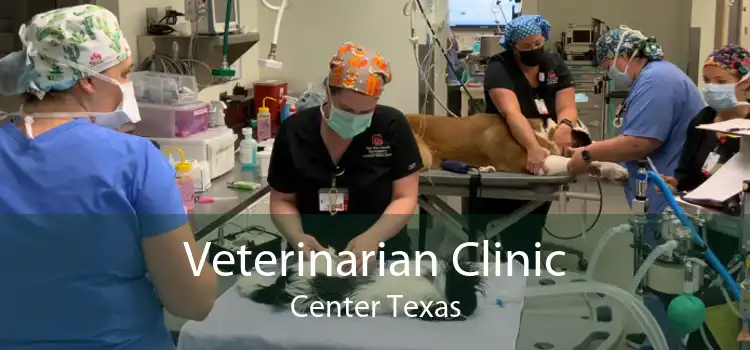 Veterinarian Clinic Center Texas